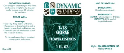 T 13 Dist Label Proof 4.22